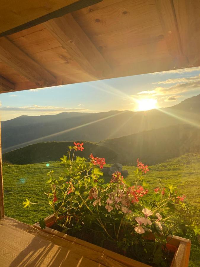 Chambres Et Tables D'Hotes Le Choton A Nono - Col Du Joly Beaufortain Hauteluce Ngoại thất bức ảnh