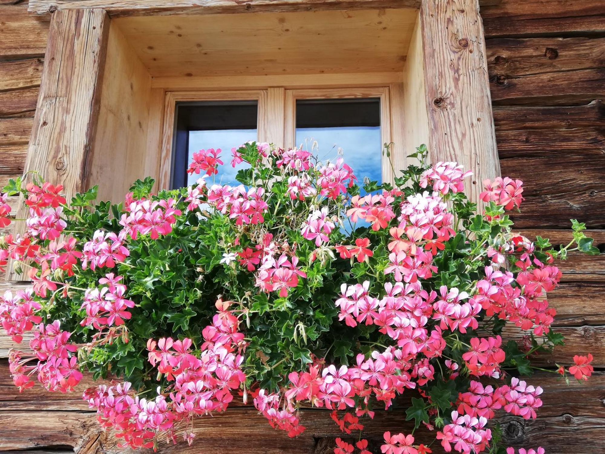 Chambres Et Tables D'Hotes Le Choton A Nono - Col Du Joly Beaufortain Hauteluce Ngoại thất bức ảnh